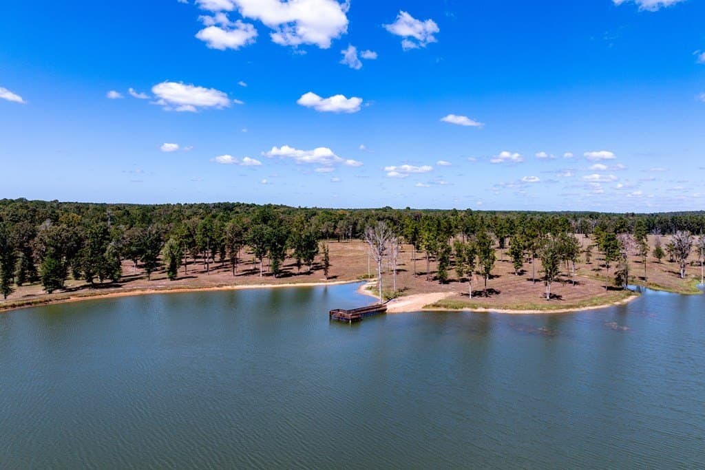 128 acres in HOUSTON County - photo 41