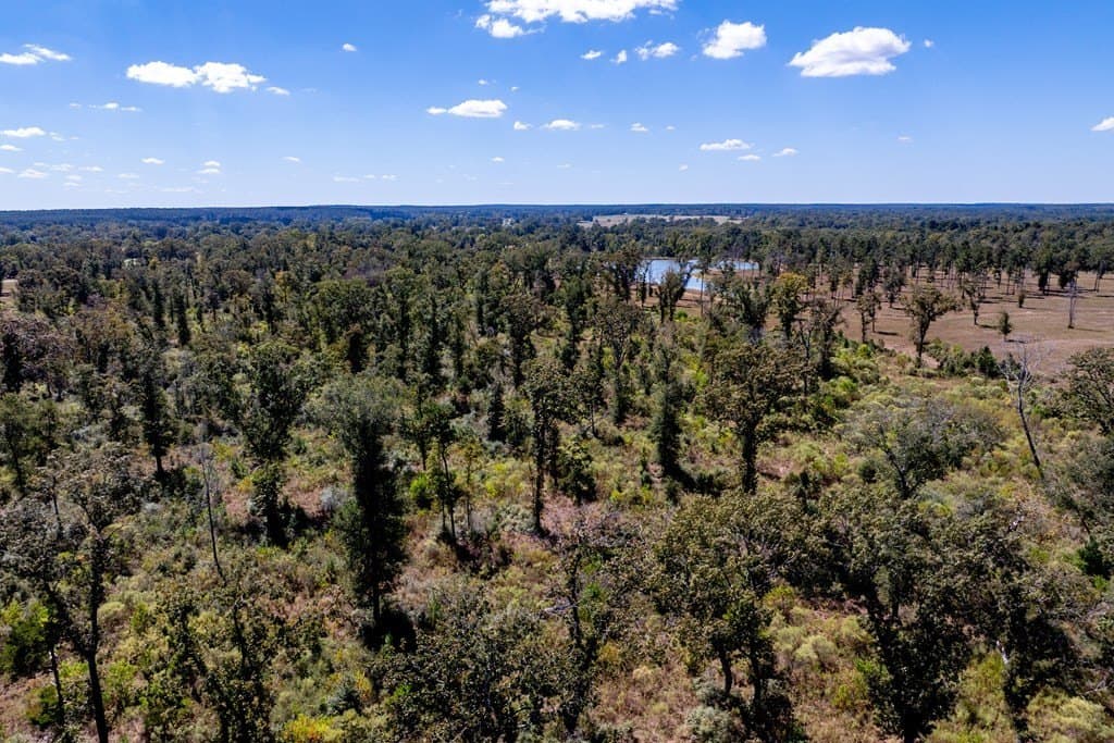 128 acres in HOUSTON County - photo 5