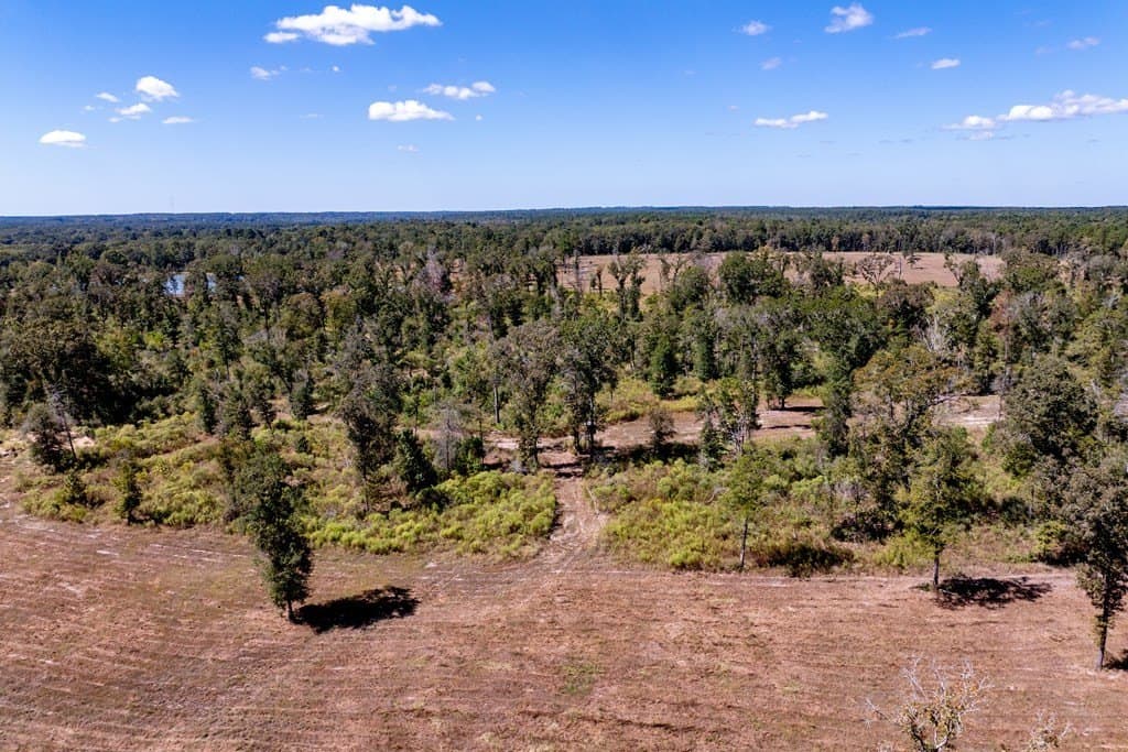128 acres in HOUSTON County - photo 17