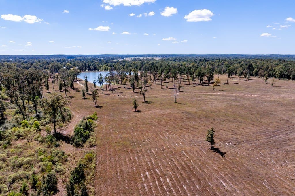 128 acres in HOUSTON County - photo 6