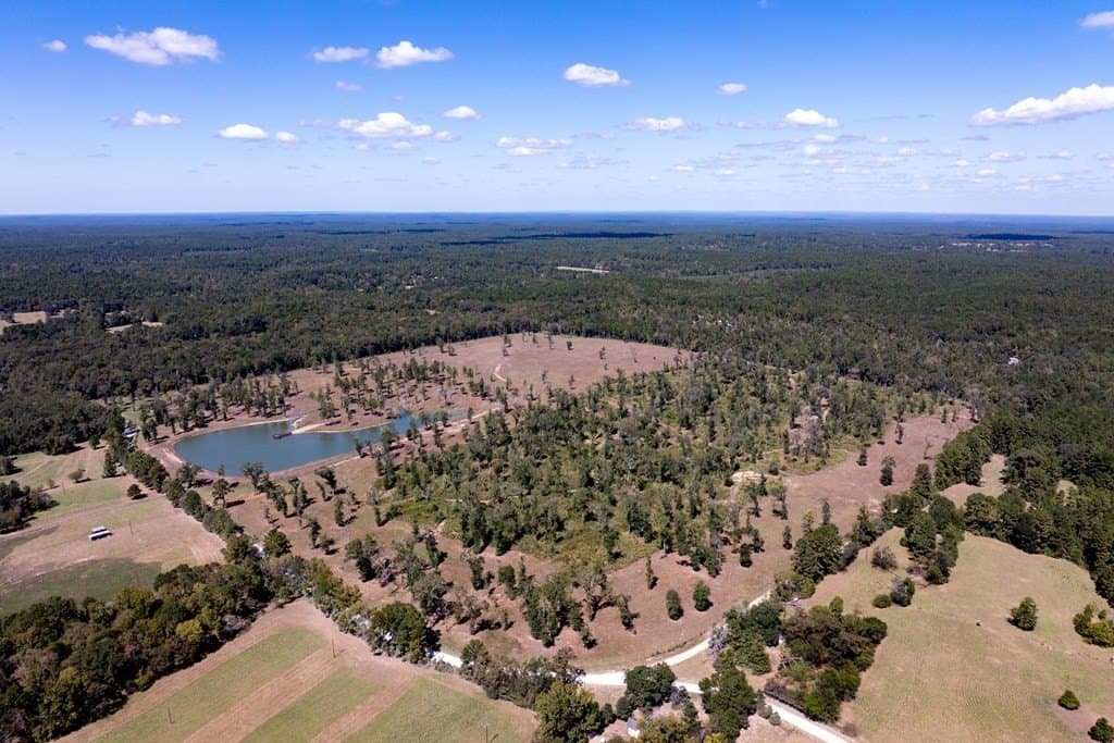 128 acres in HOUSTON County - photo 45