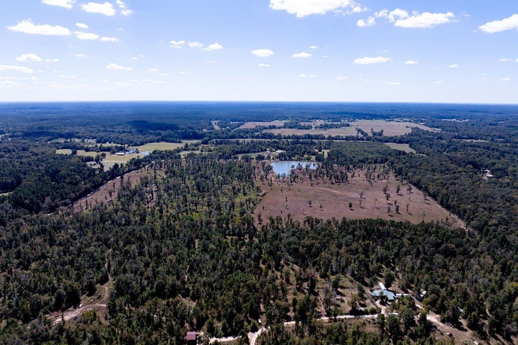 128 acres in HOUSTON County - photo 38