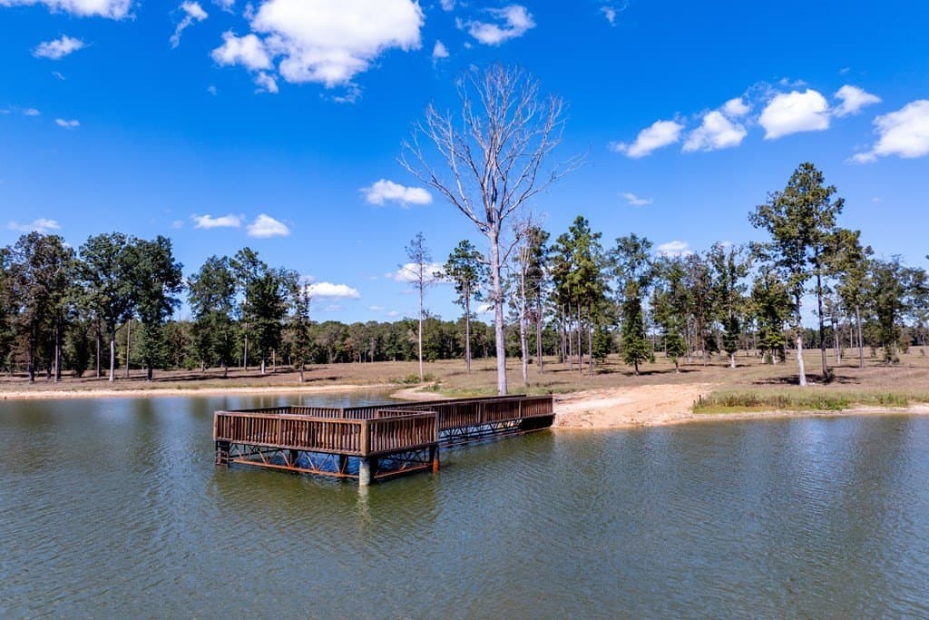 128 acres in HOUSTON County - photo 3