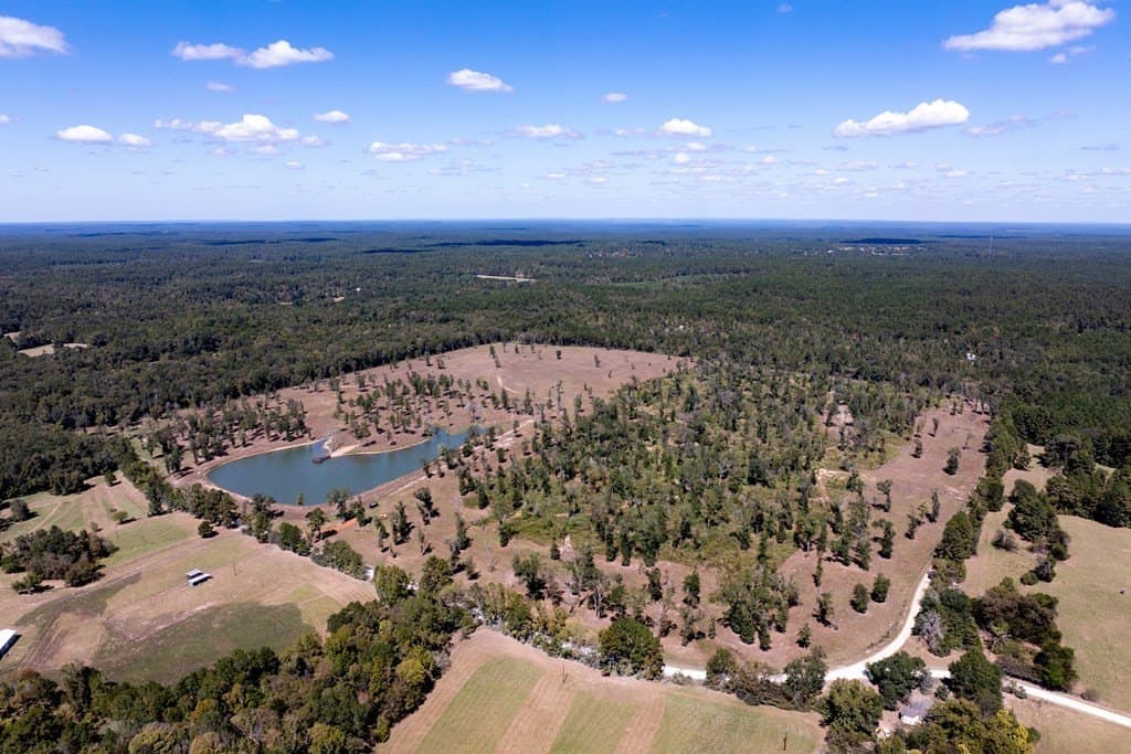 128 acres in HOUSTON County - photo 44