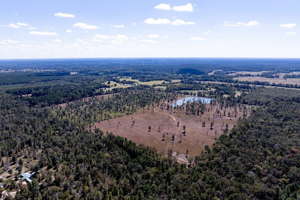 128 acres in HOUSTON County - photo 20