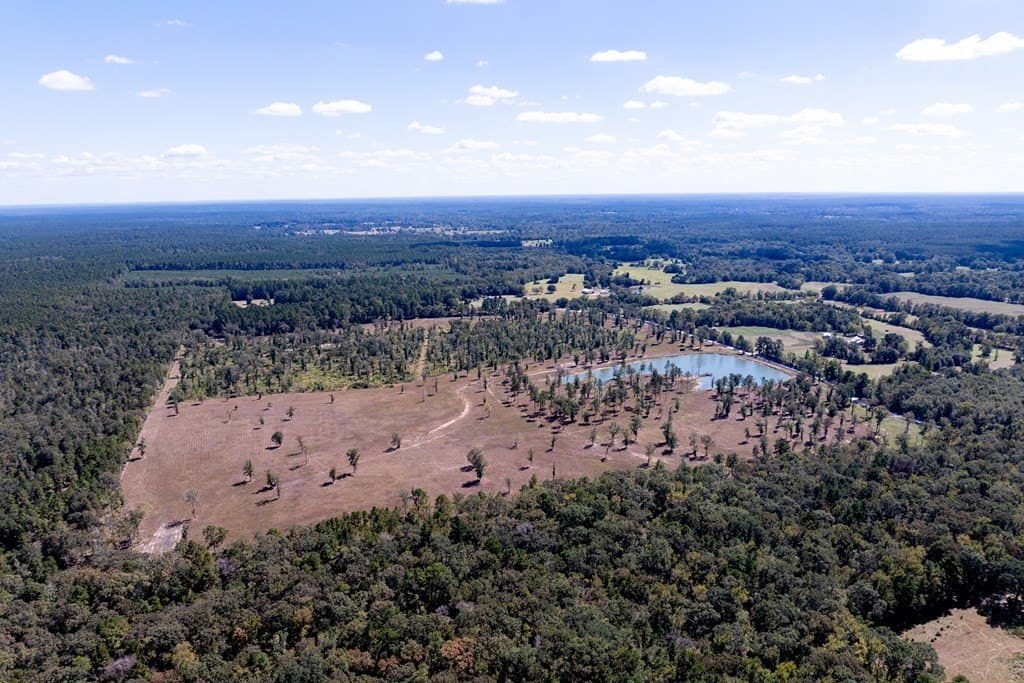 128 acres in HOUSTON County - photo 23