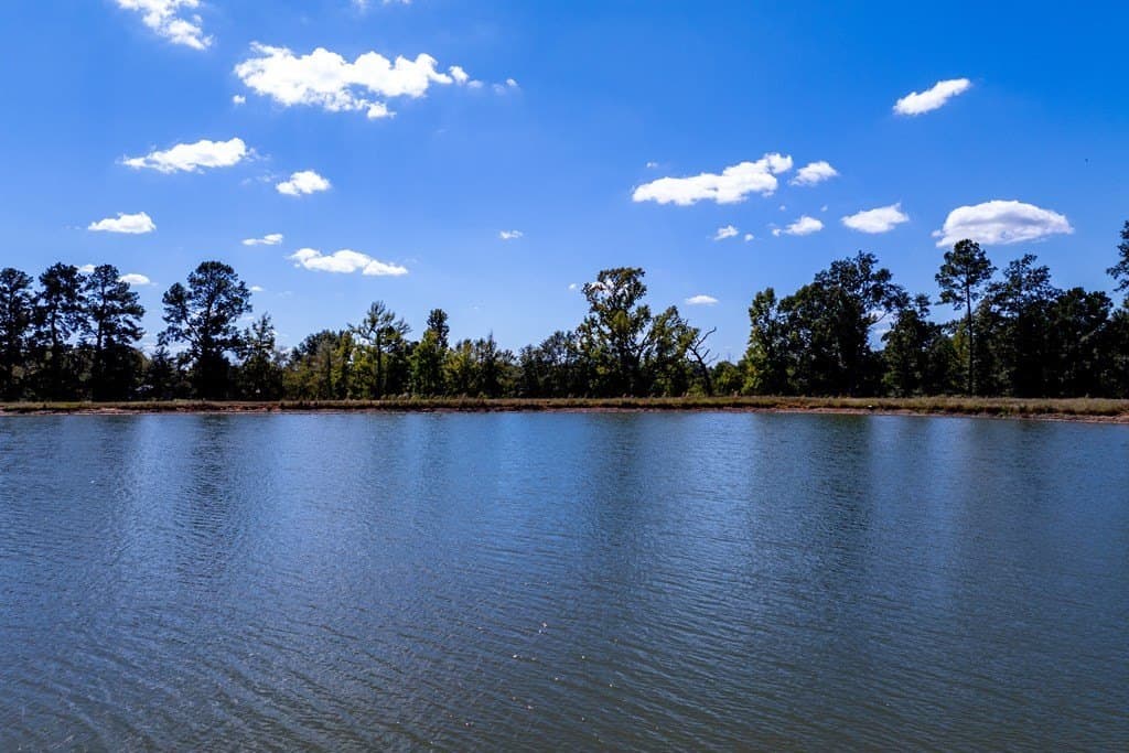 128 acres in HOUSTON County - photo 48