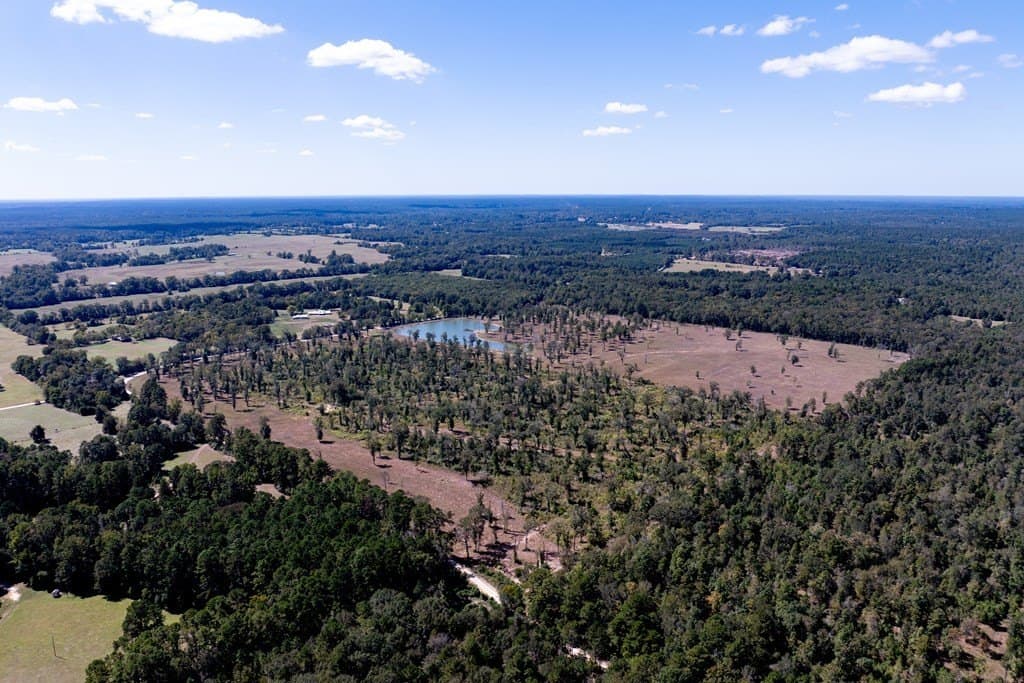 128 acres in HOUSTON County - photo 34
