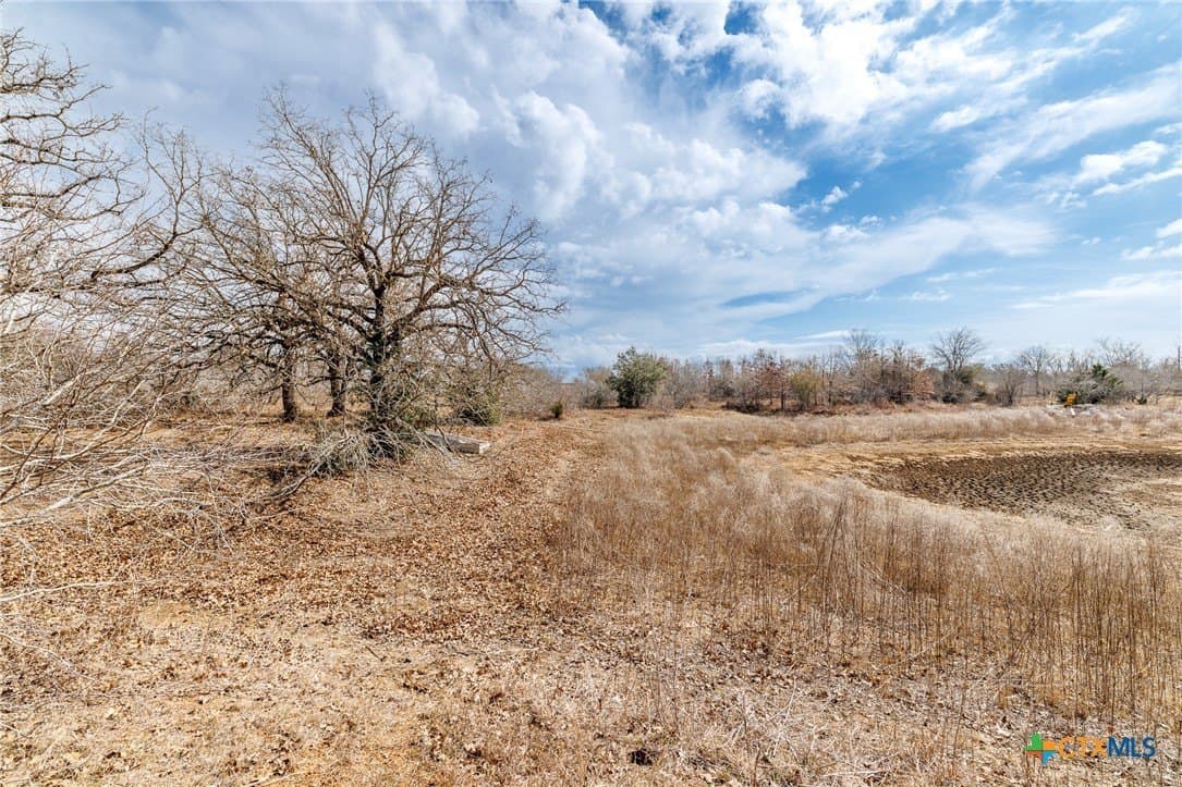 20 acres in Gonzales County - photo 9