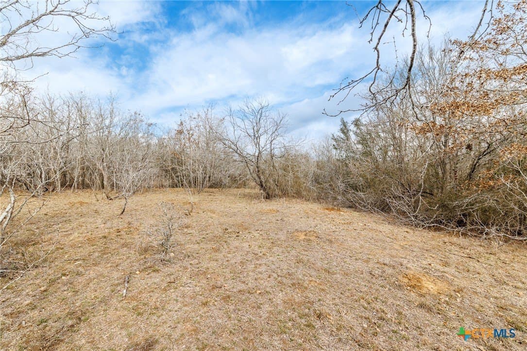 20 acres in Gonzales County - photo 23