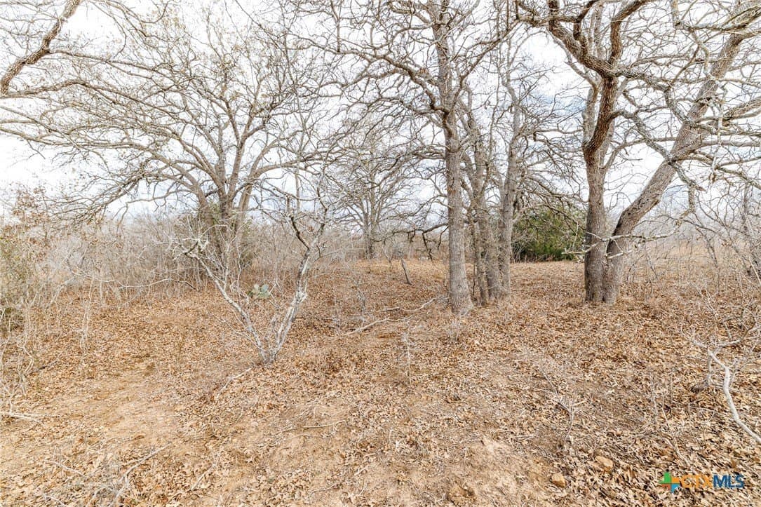 20 acres in Gonzales County - photo 19