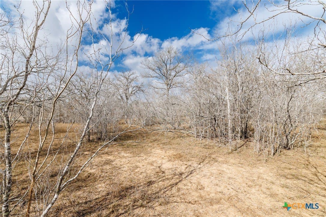 20 acres in Gonzales County - photo 17