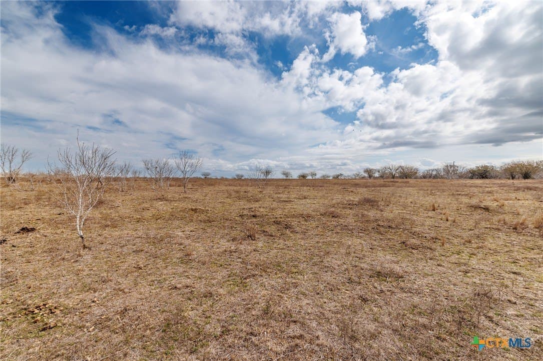 20 acres in Gonzales County - photo 29