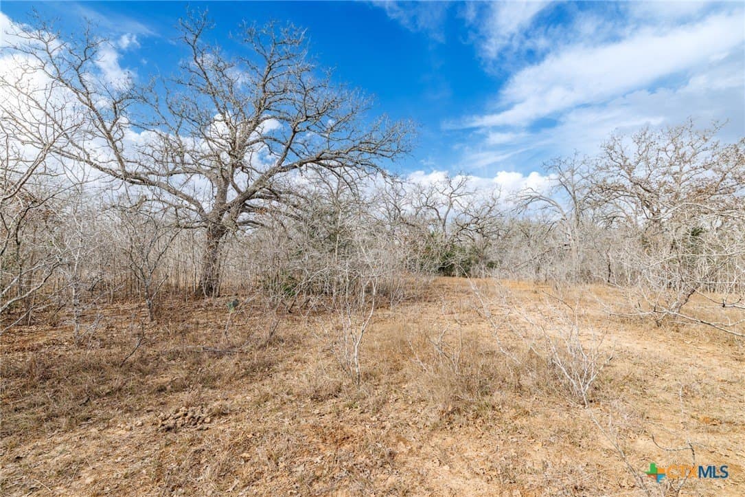 20 acres in Gonzales County - photo 21