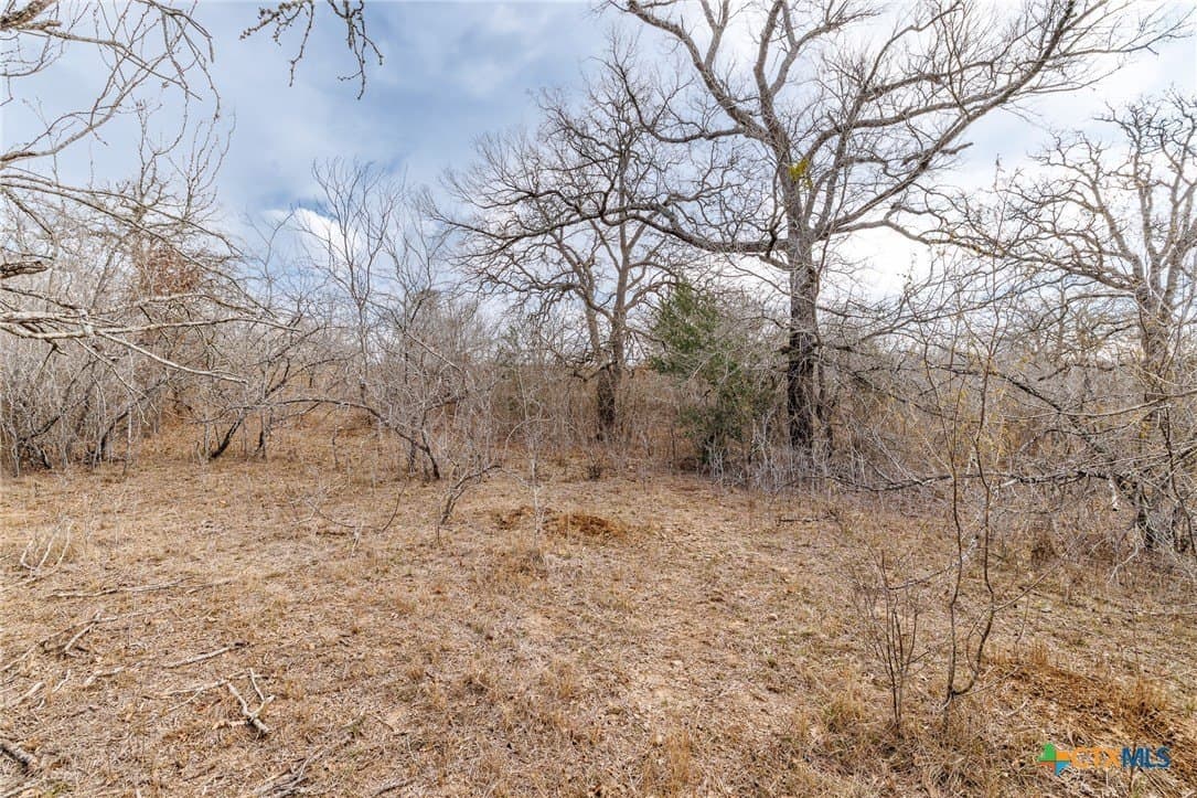 20 acres in Gonzales County - photo 2