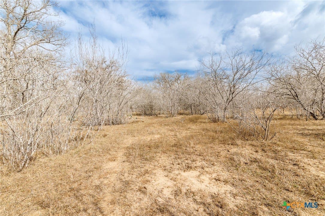 20 acres in Gonzales County - photo 3