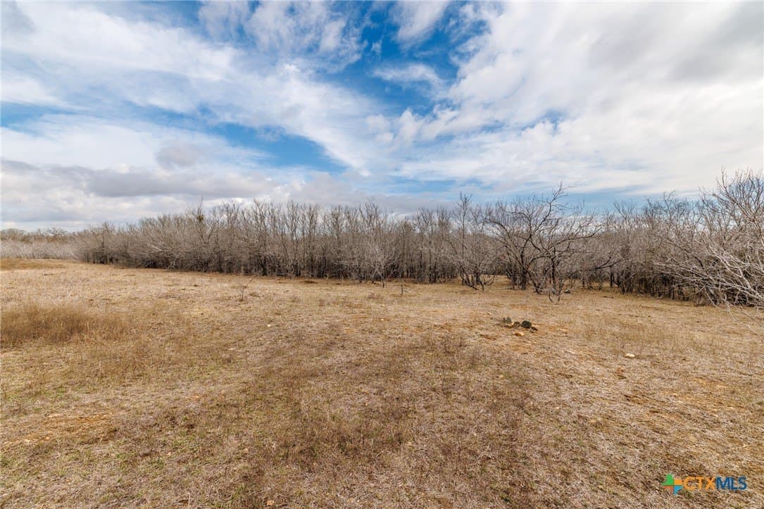 20 acres in Gonzales County - photo 26