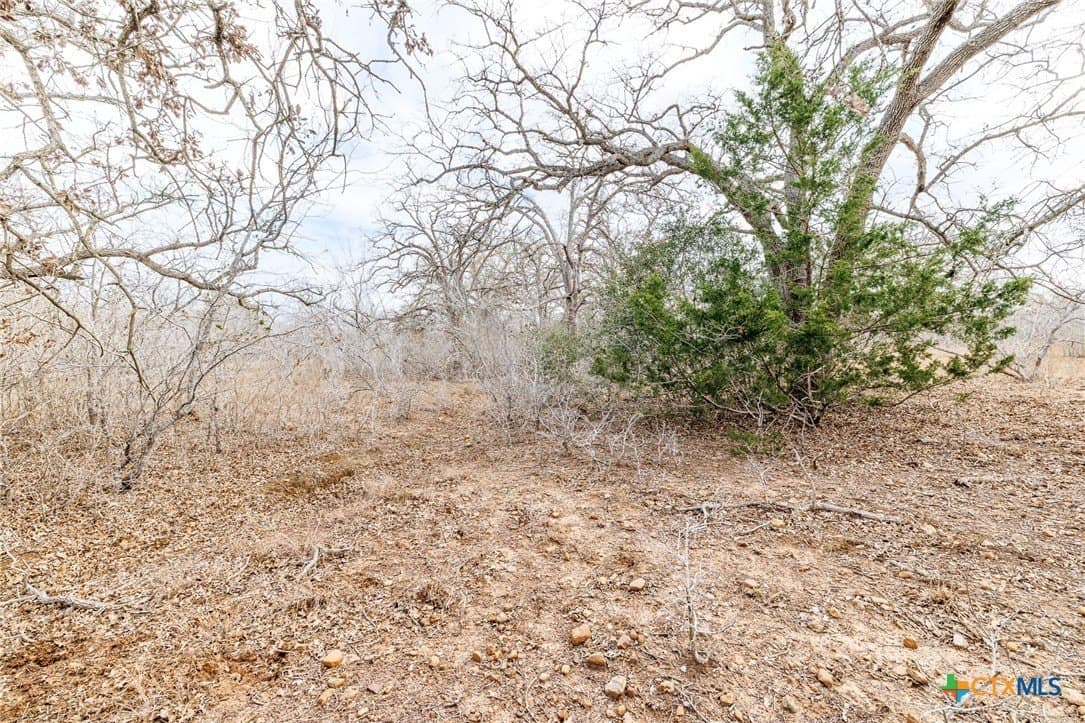 20 acres in Gonzales County - photo 18