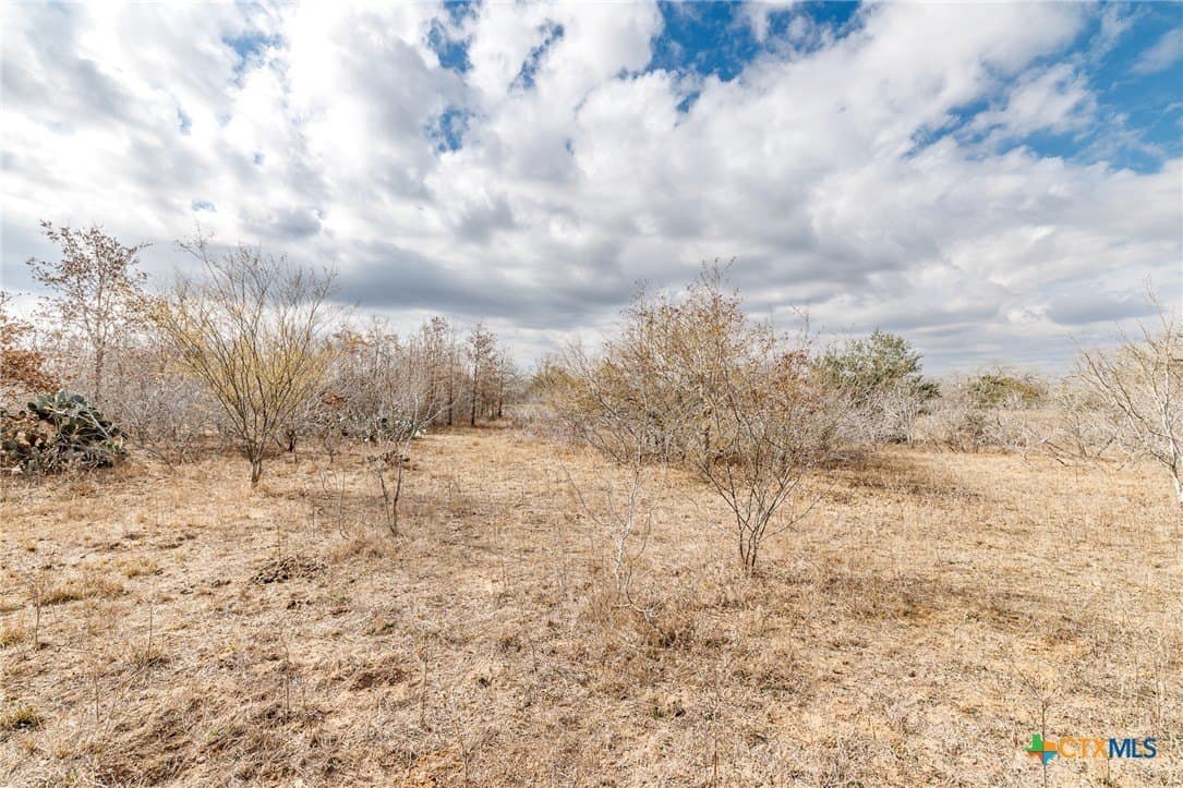 20 acres in Gonzales County - photo 7