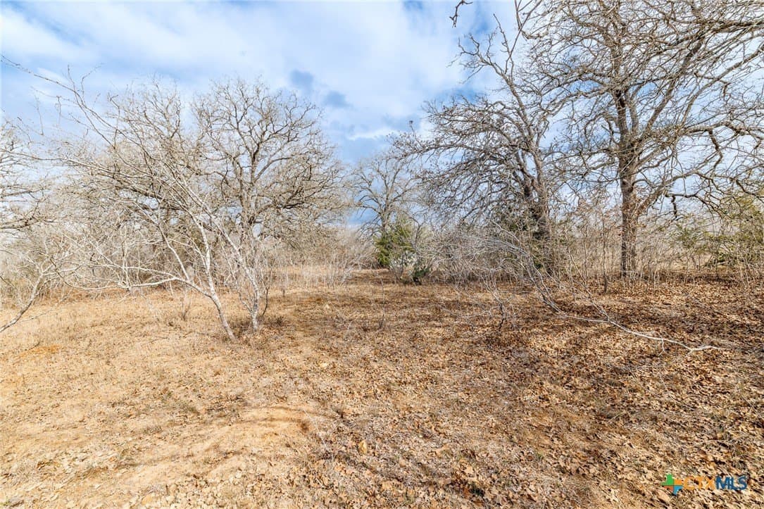 20 acres in Gonzales County - photo 20