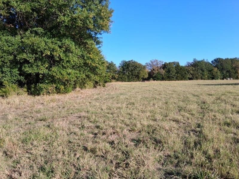 5 acres in Fannin County - photo 4