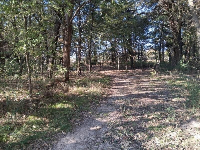 5 acres in Fannin County - photo 3