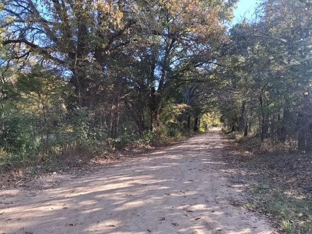 5 acres in Fannin County - photo 9