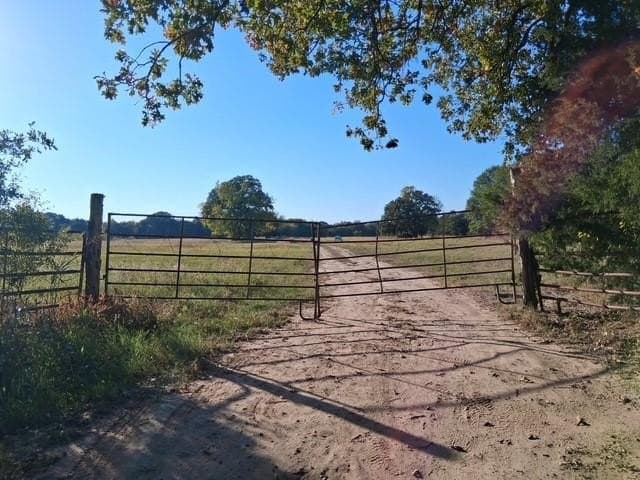 5 acres in Fannin County - photo 10