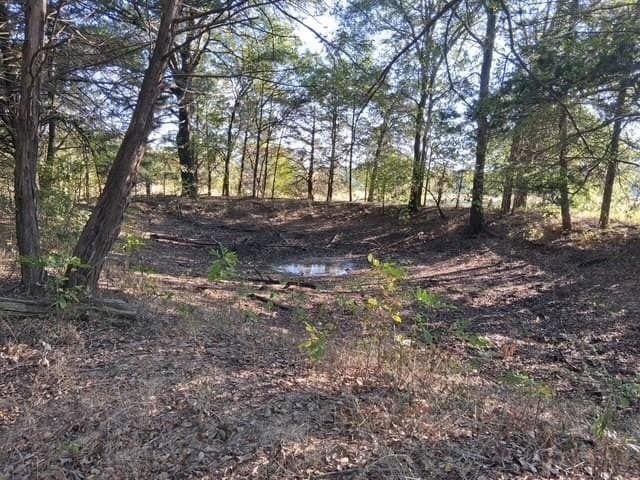 5 acres in Fannin County - photo 2