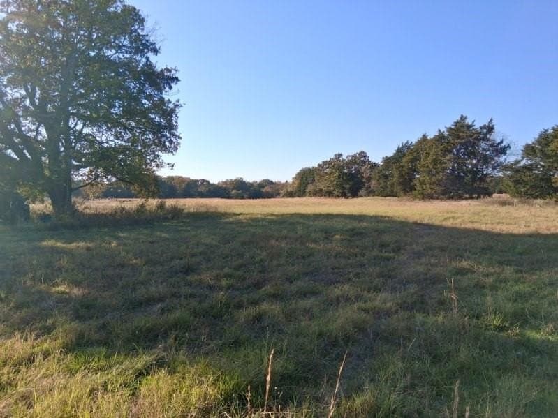 5 acres in Fannin County - photo 6