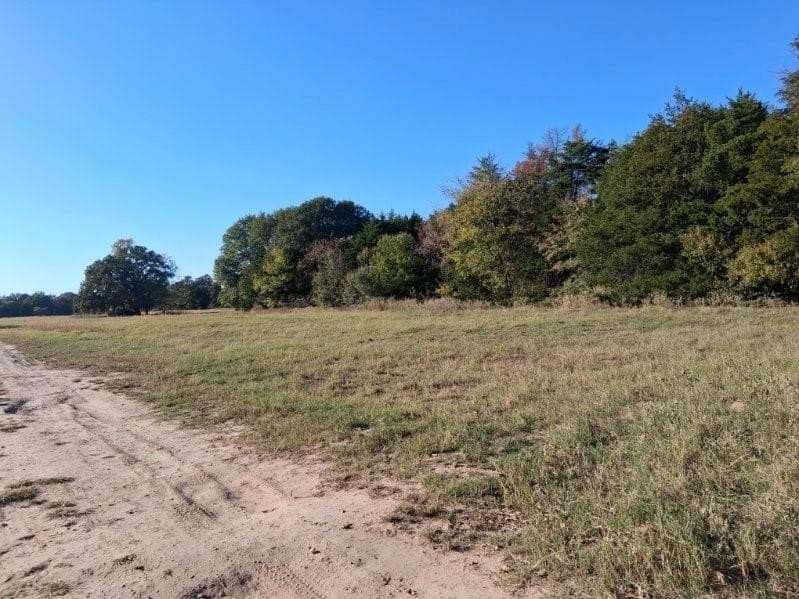 5 acres in Fannin County - photo 8