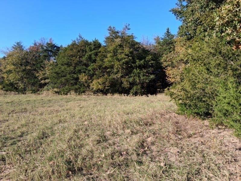 5 acres in Fannin County - photo 7