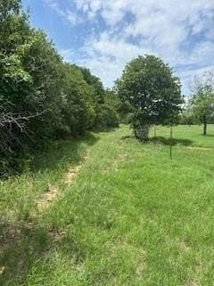 17.64 acres in Comanche County - photo 11