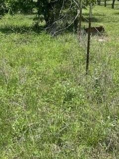 17.64 acres in Comanche County - photo 28