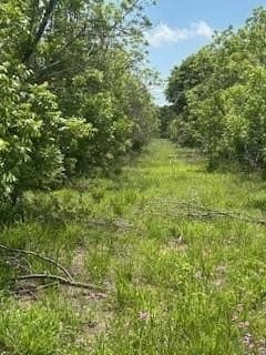17.64 acres in Comanche County - photo 2