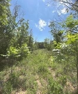 17.64 acres in Comanche County - photo 33