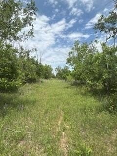 17.64 acres in Comanche County - photo 10