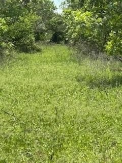 17.64 acres in Comanche County - photo 29