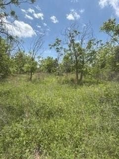 17.64 acres in Comanche County - photo 20