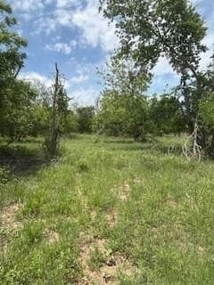 17.64 acres in Comanche County - photo 27