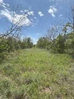 17.64 acres in Comanche County - photo 23