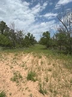17.64 acres in Comanche County - photo 14