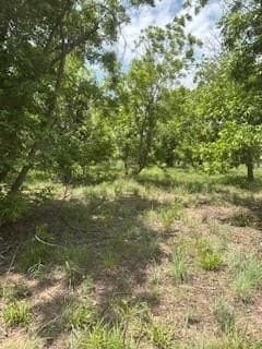 17.64 acres in Comanche County - photo 25