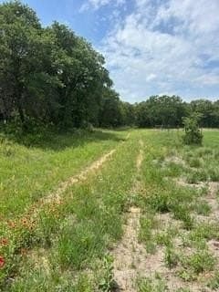 17.64 acres in Comanche County - photo 12