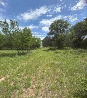 17.64 acres in Comanche County - photo 30
