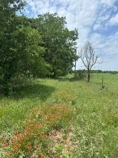 17.64 acres in Comanche County - photo 4
