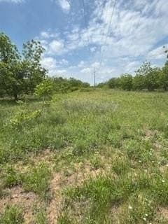 17.64 acres in Comanche County - photo 18