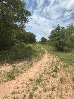 17.64 acres in Comanche County - photo 16