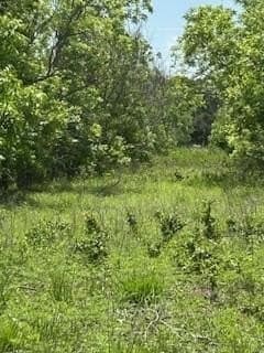 17.64 acres in Comanche County - photo 5