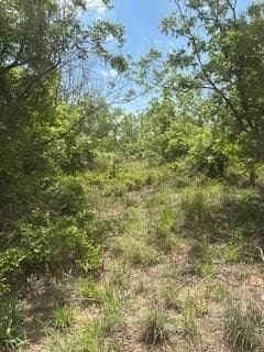 17.64 acres in Comanche County - photo 26